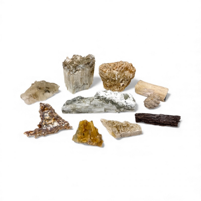 Placeholder