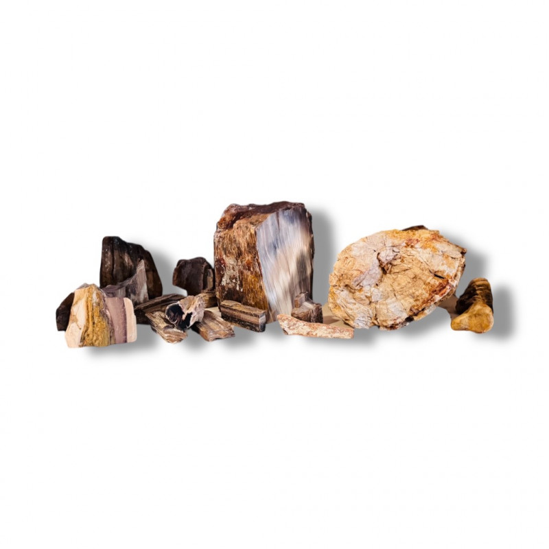 Placeholder