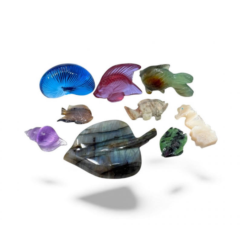 Placeholder