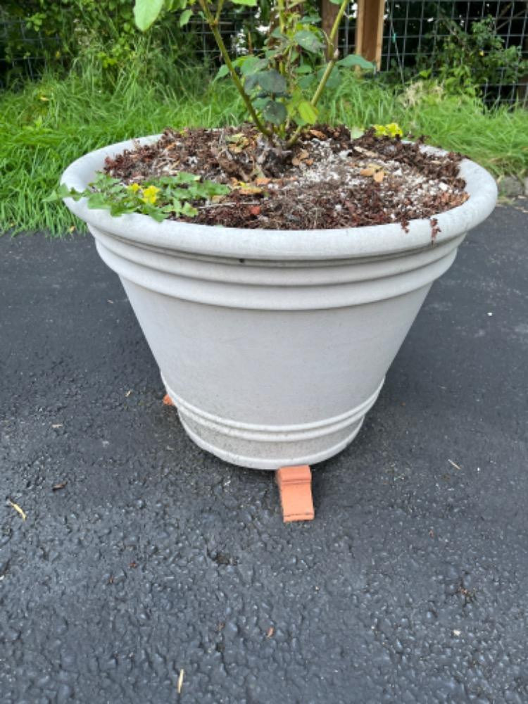 Placeholder