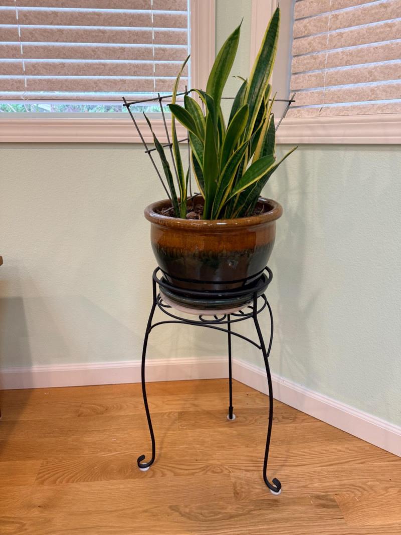 Placeholder