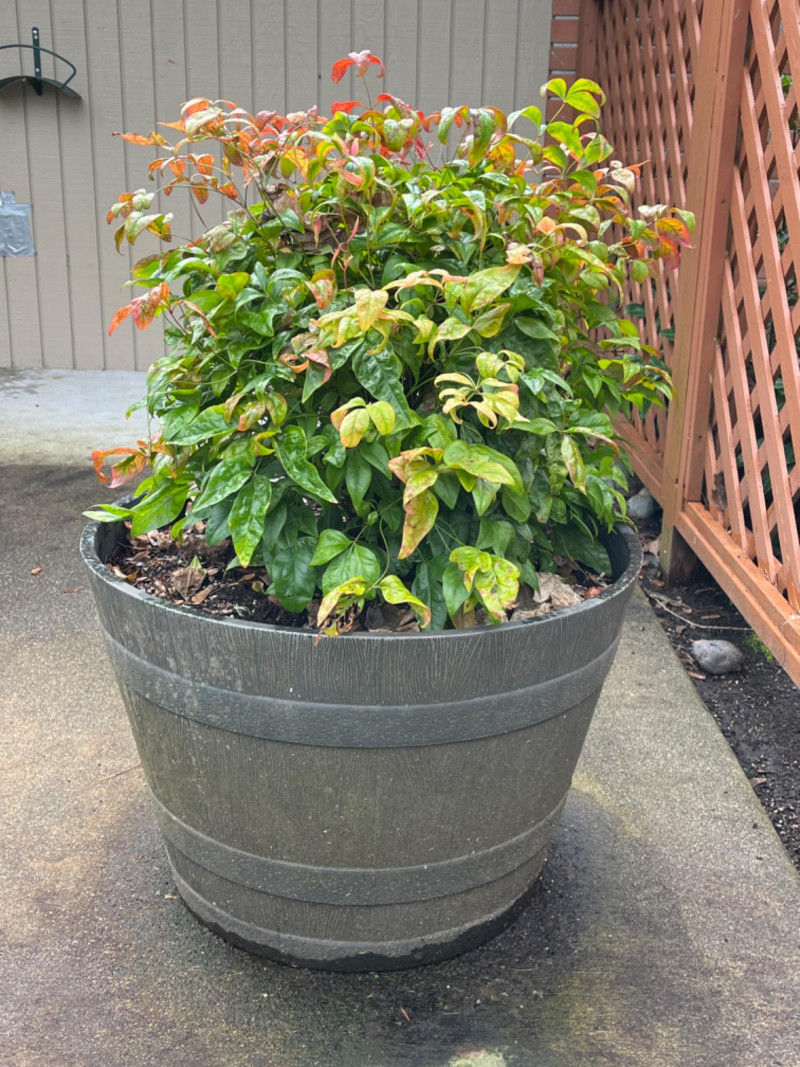 Placeholder