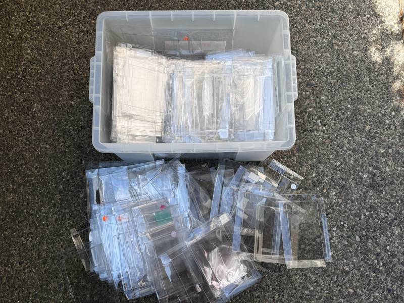 Placeholder