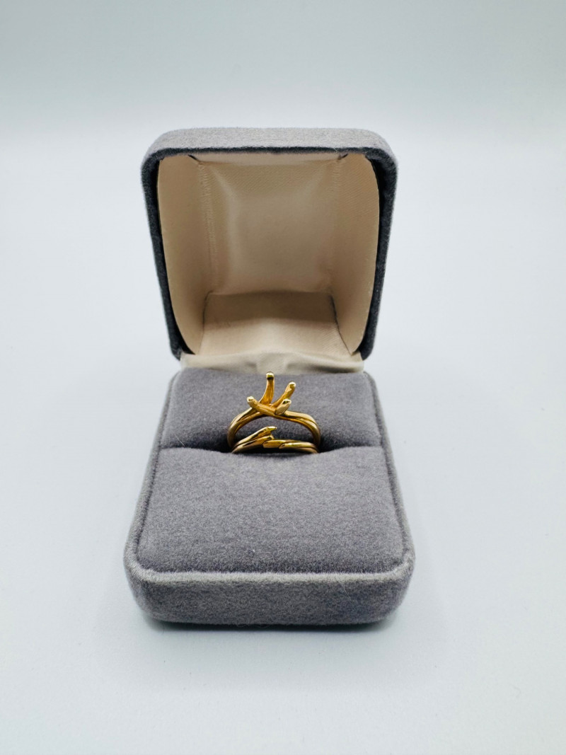 Placeholder