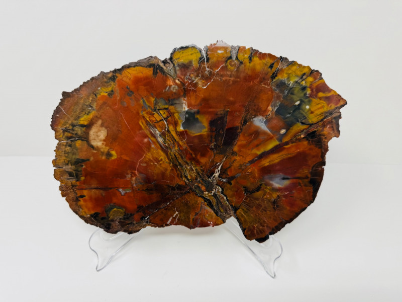 Placeholder