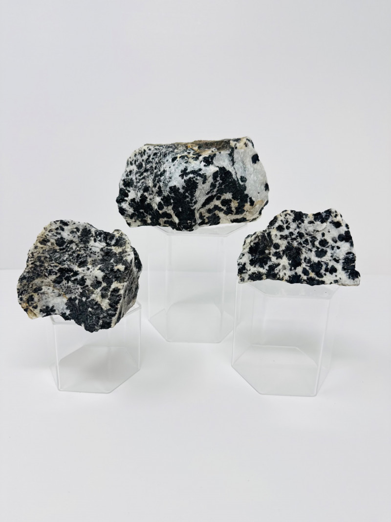Placeholder