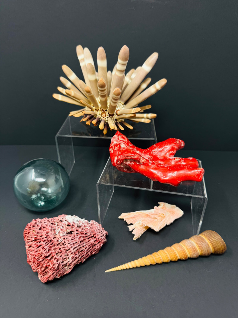 Placeholder