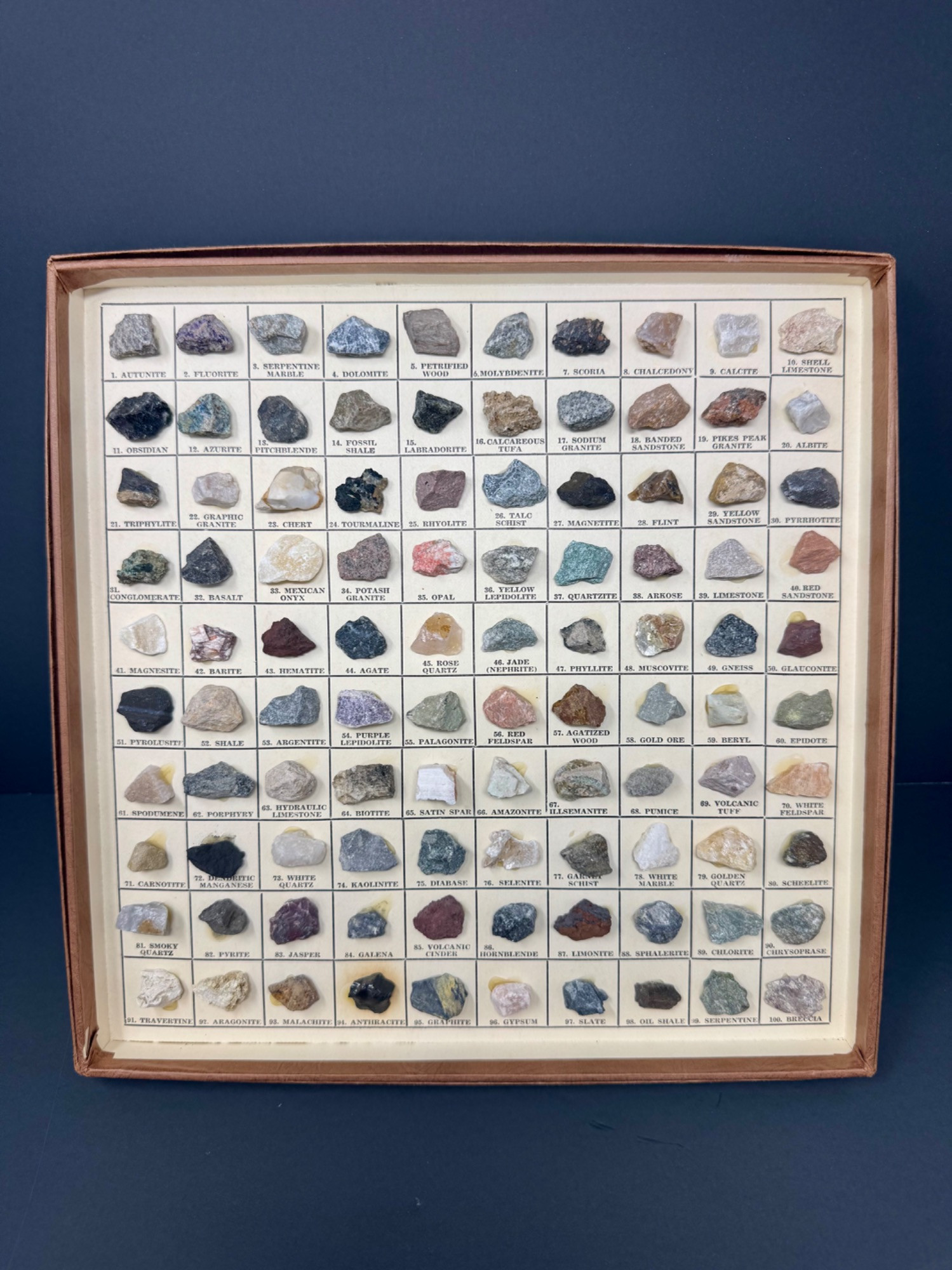 Placeholder