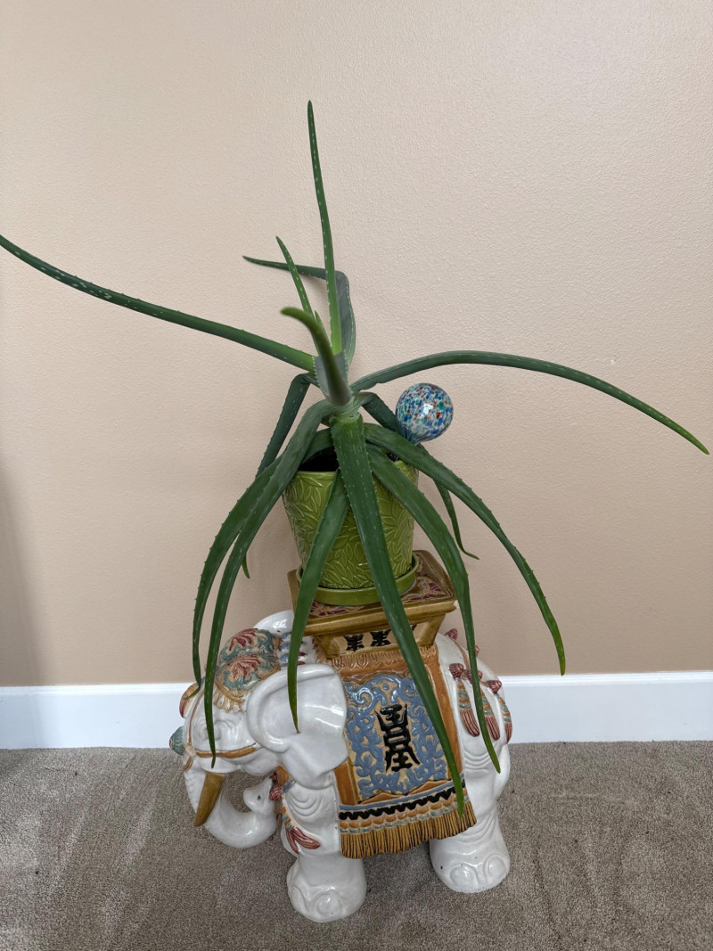 Placeholder