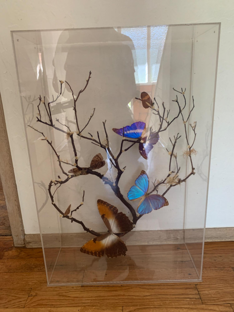 Placeholder
