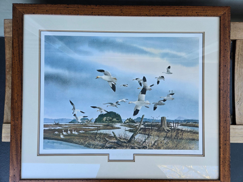 Placeholder
