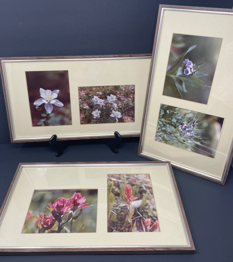 Placeholder