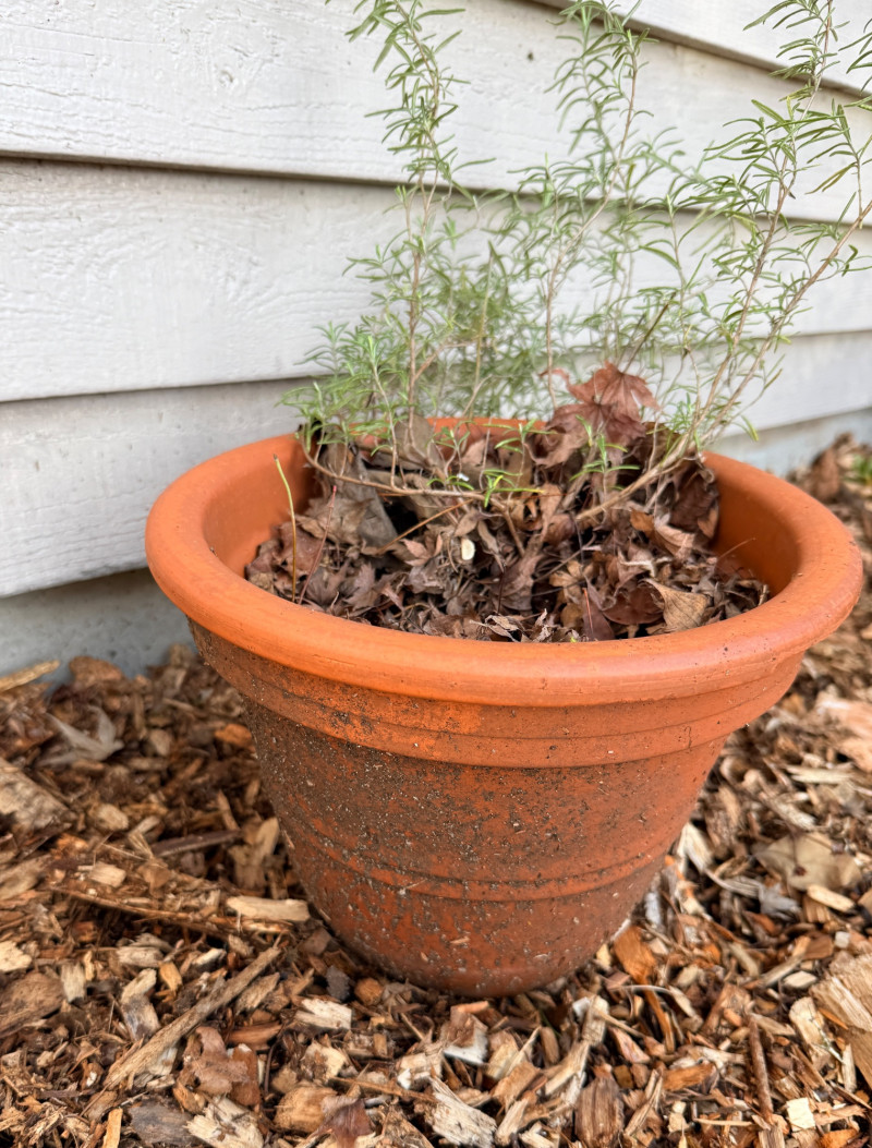 Placeholder