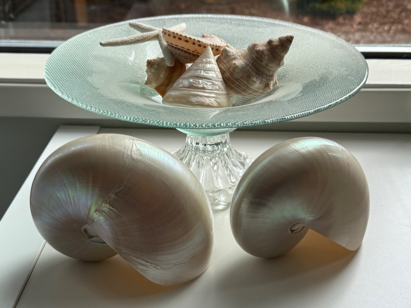 Placeholder