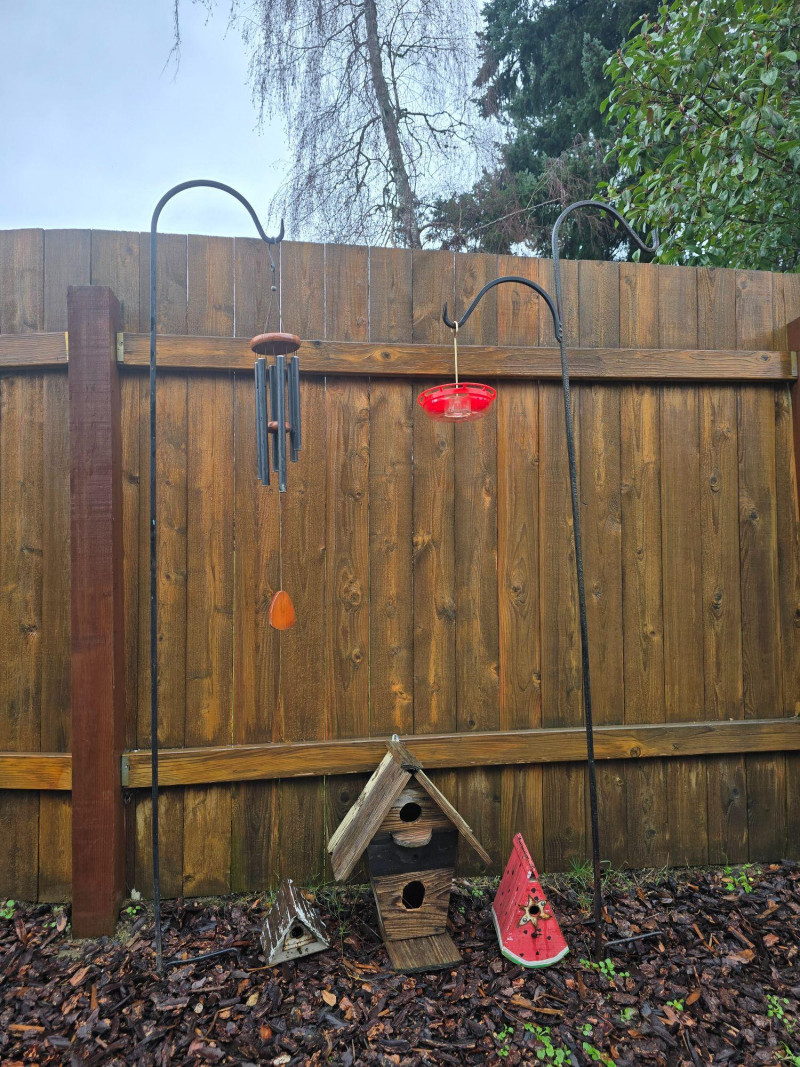 Placeholder