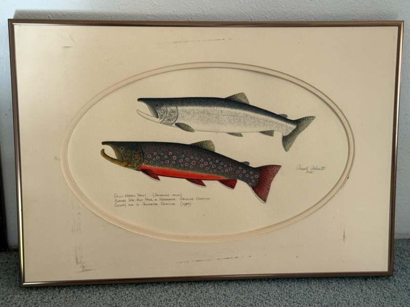 Placeholder