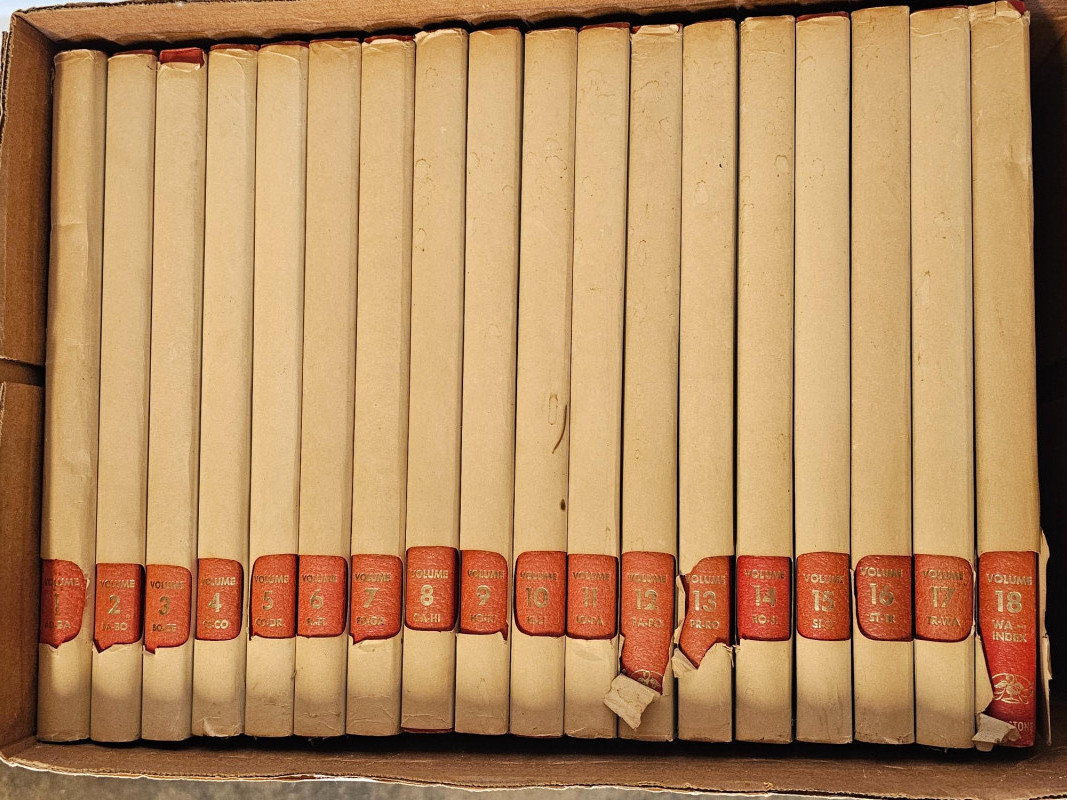 Placeholder