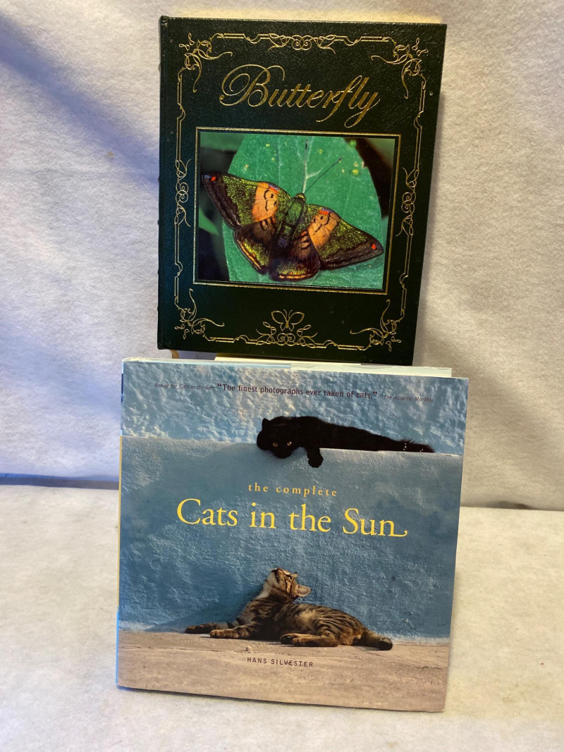 Placeholder