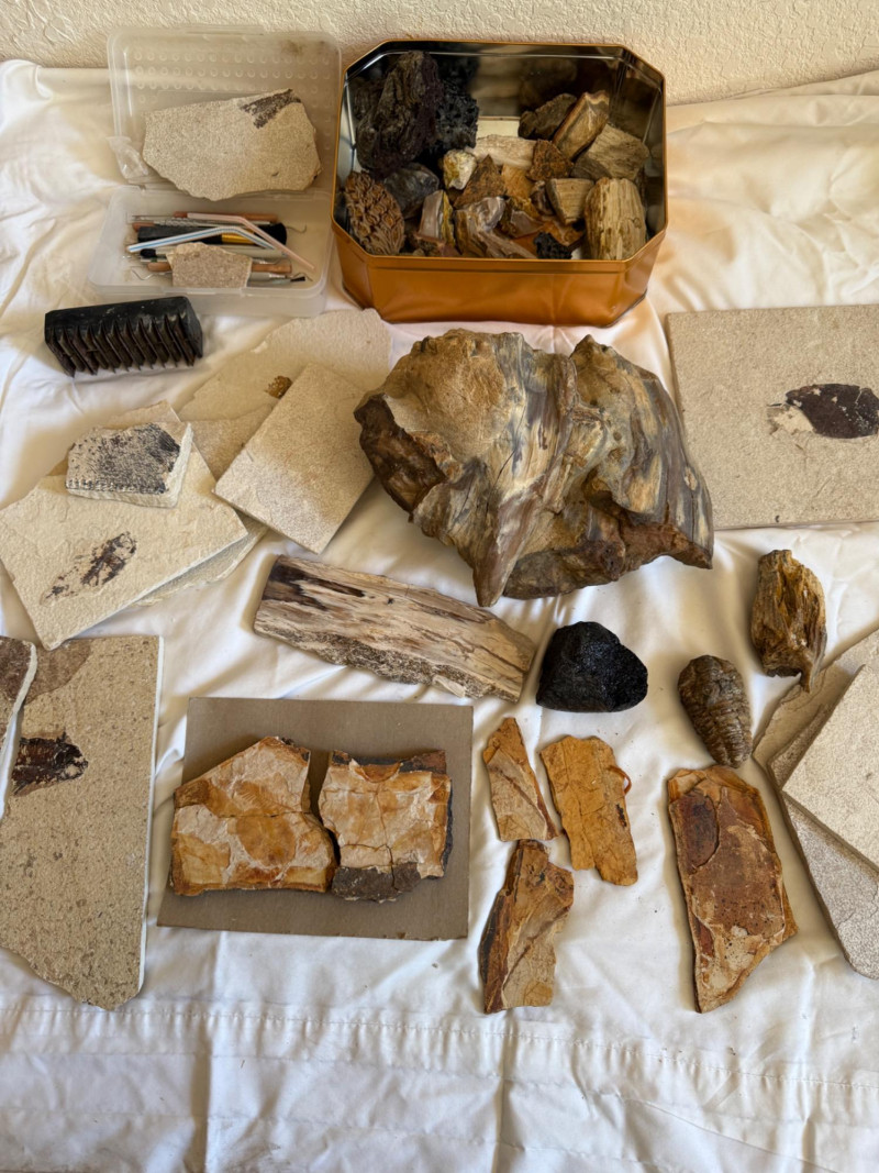 Placeholder