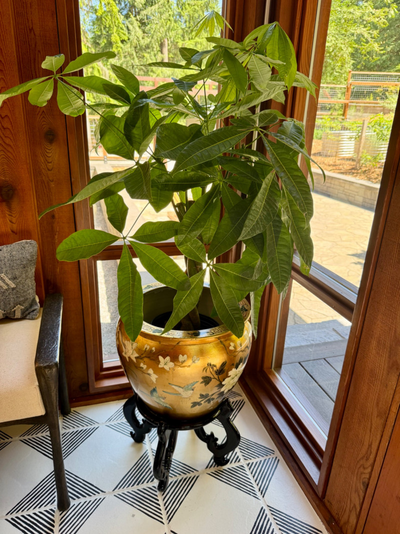 Placeholder