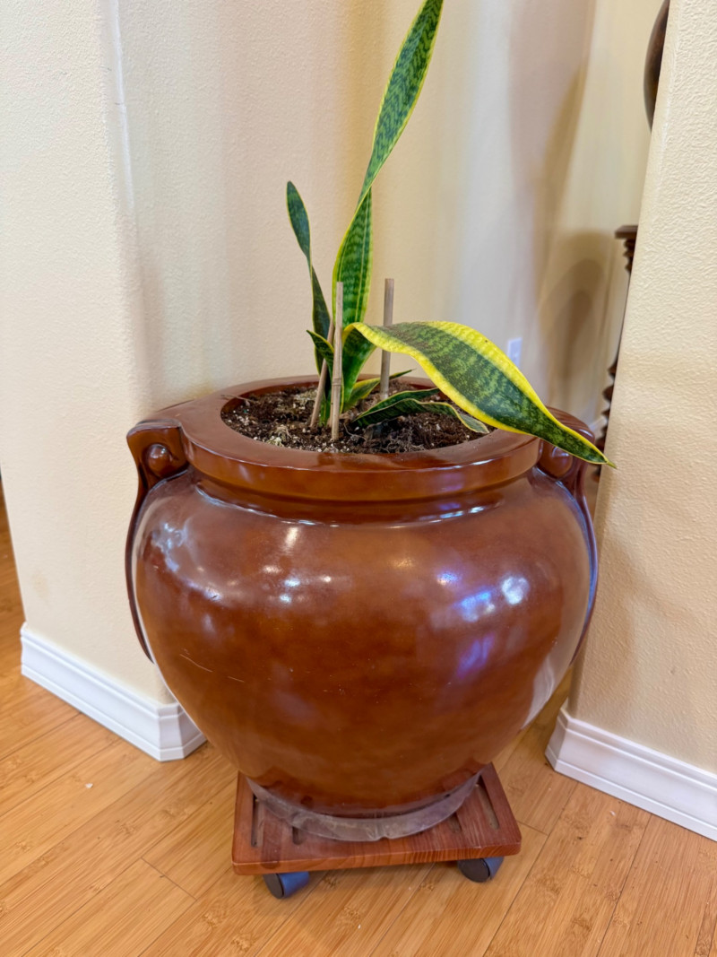 Placeholder