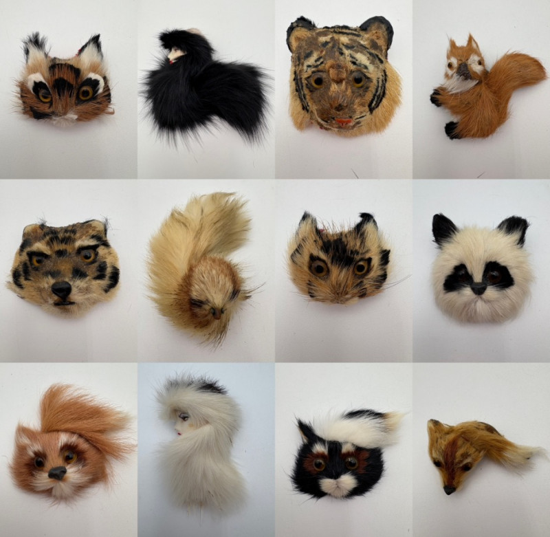 Placeholder