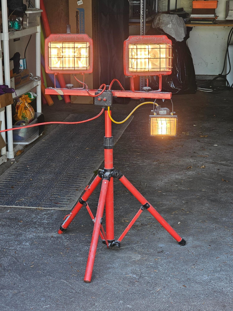 Placeholder