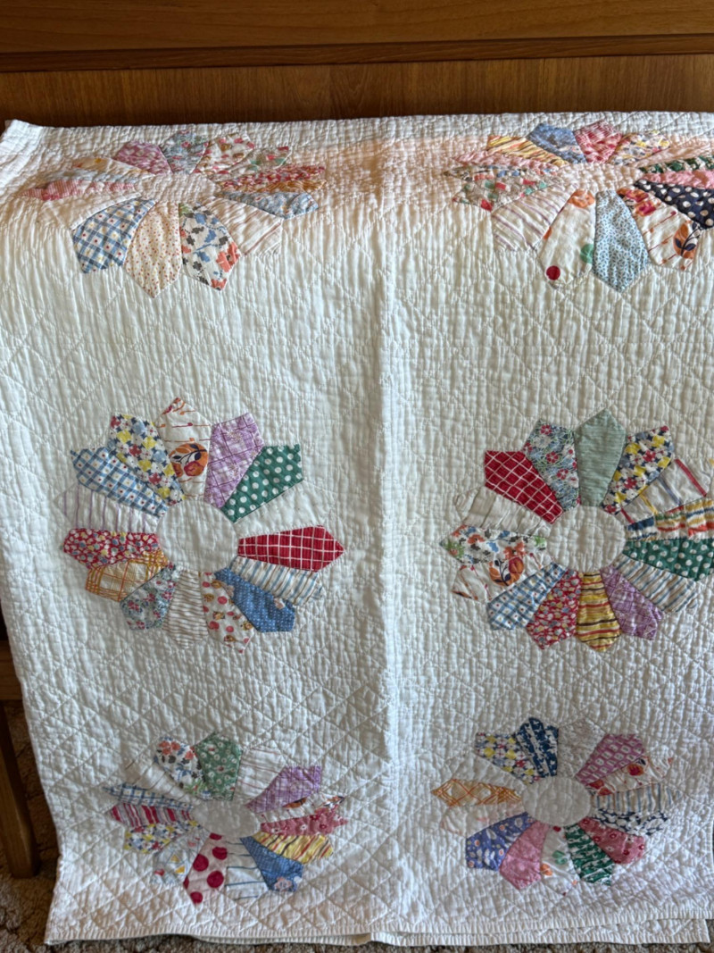 Placeholder