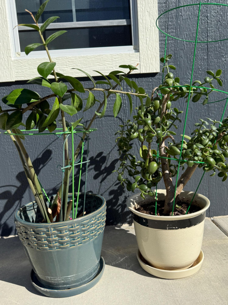 Placeholder