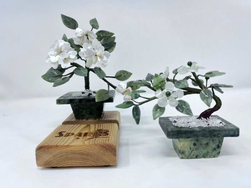 Placeholder