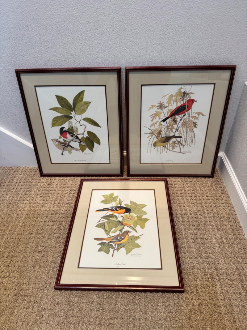 Placeholder